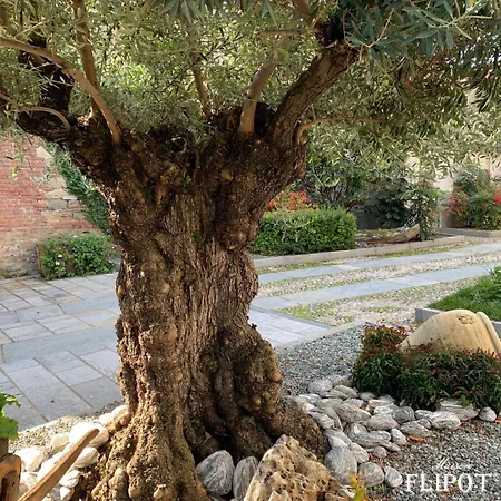 Maison Flipot Alojamento de Acomodação e Pequeno-almoço Torre Pellice