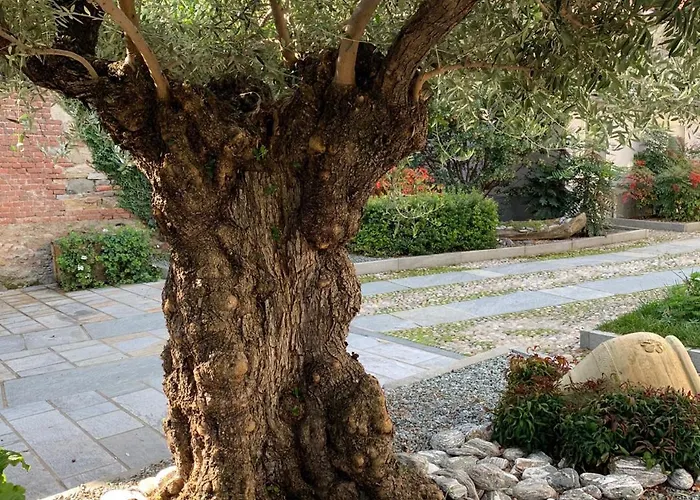 Maison Flipot Oda ve Kahvaltı Torre Pellice
